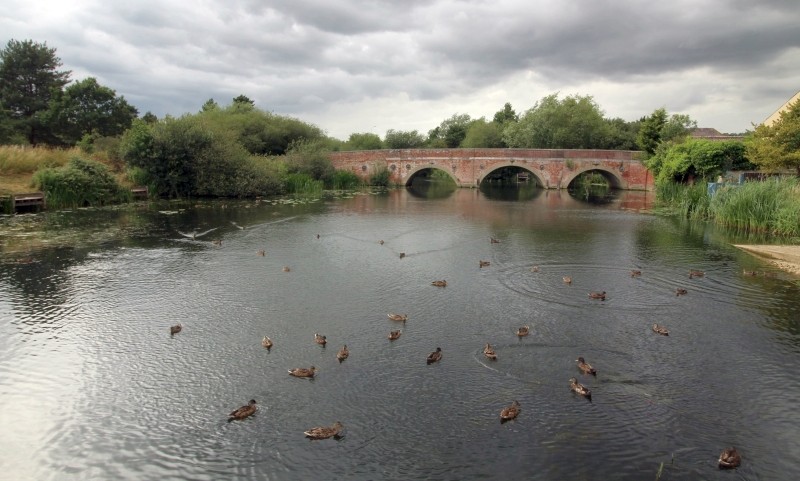 bridge